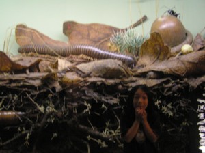 Museum of Natural History