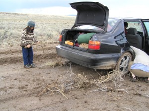Sticks behind the wheels